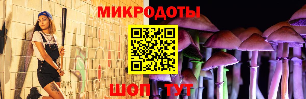 купить закладку  Псилоцибиновые грибы Psilocybine cubensis  Владикавказ  Вход с VPN  Галлюциногенные грибы Magic Shrooms 
